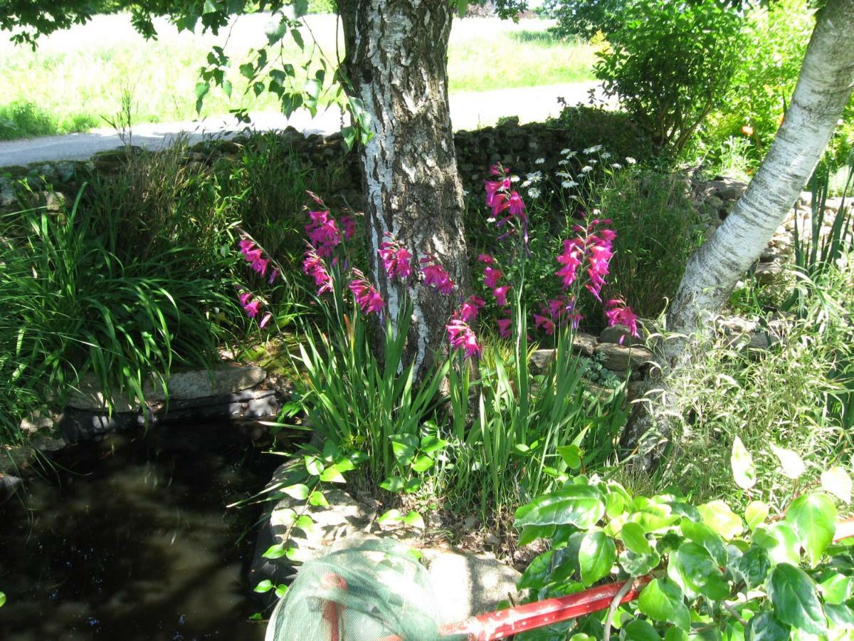 Gites Du Roheran Malansac Εξωτερικό φωτογραφία